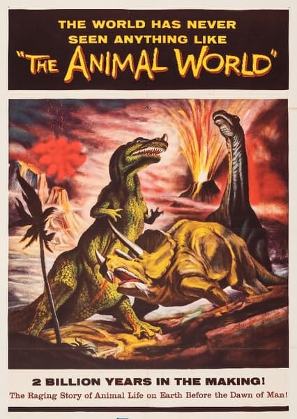 The Animal World