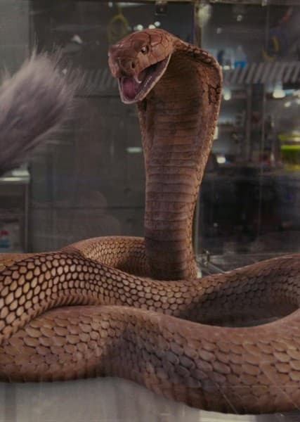 The Snake (The Shaggy Dog)