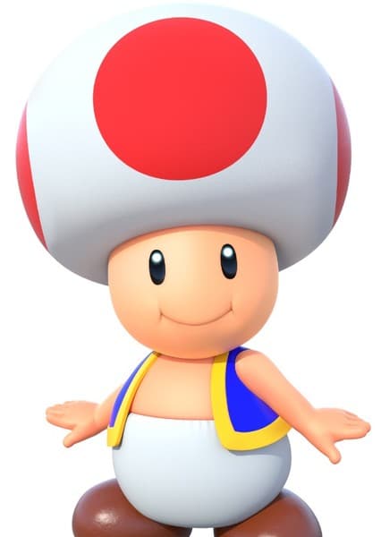 Toad