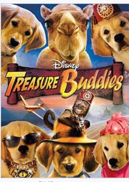 Treasure Buddies