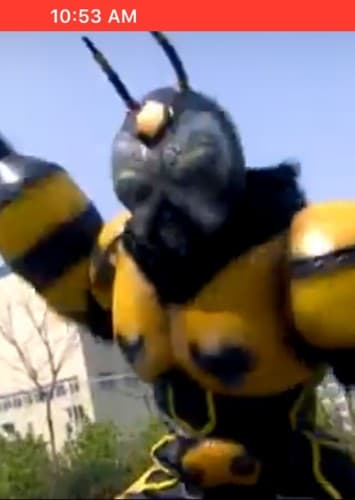 Stinger Bee