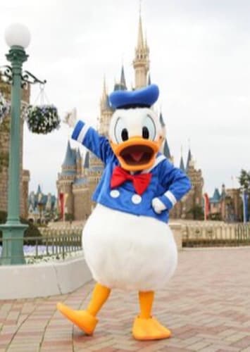 Donald Duck