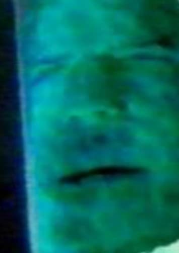 Zordon