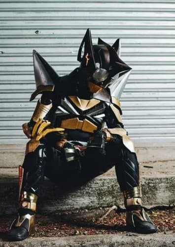 Kamen Rider PunchHopper