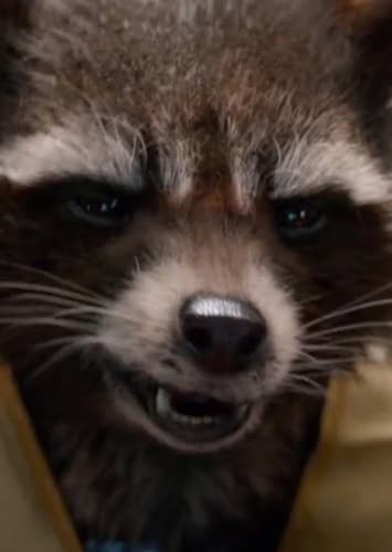 Rocket Raccoon