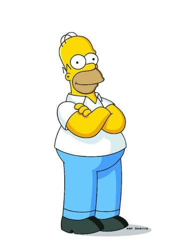 Homer Simpson (voice)