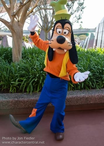 Goofy