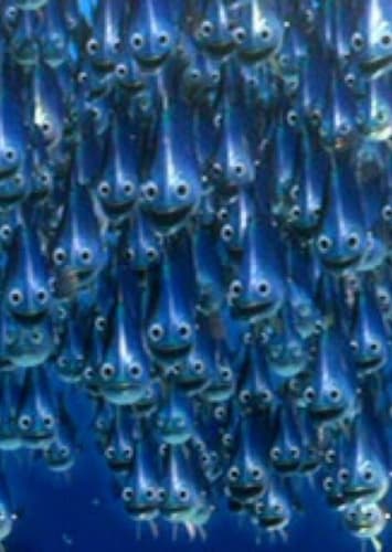 the school of Moonfish