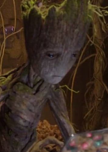 Groot