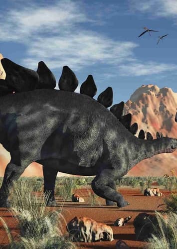Stegosaurus