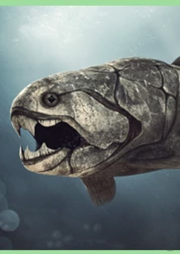 Dunkleosteus