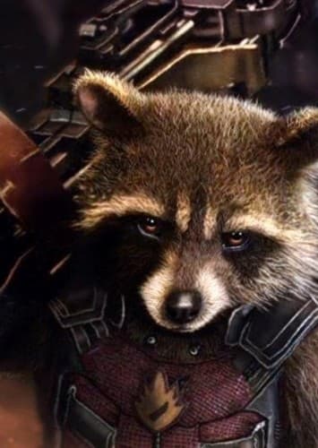 Rocket Raccoon