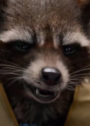 Rocket Raccoon