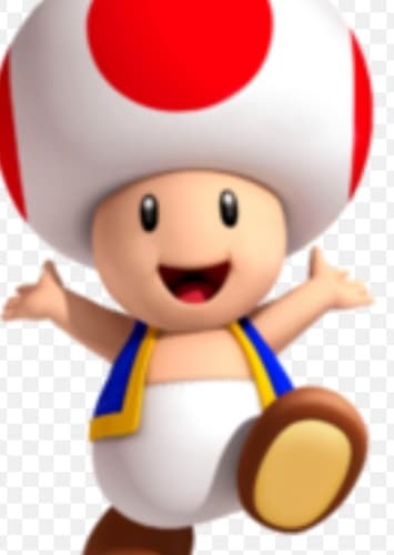 Toad