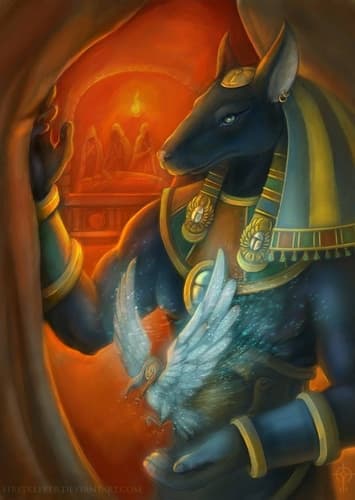 Anubis