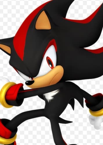 Shadow The Hedgehog