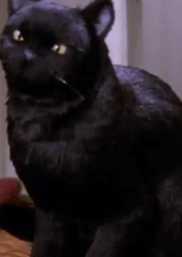 Salem Saberhagen