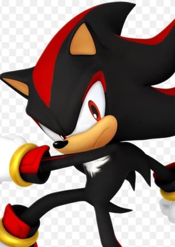 Shadow The Hedgehog