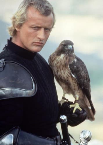 Captain Etienne of Navarre