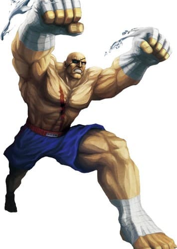 Sagat