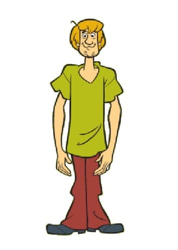 Shaggy Rogers