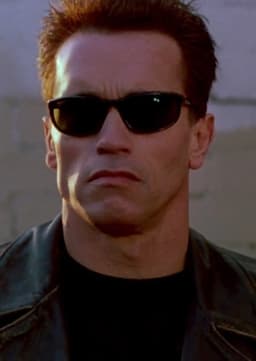 The Terminator