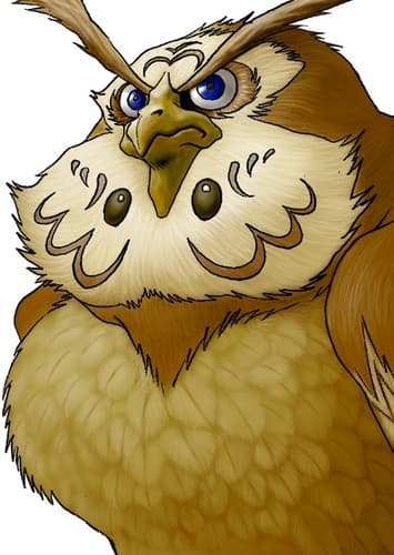 Kaepora Gaebora/Rauru