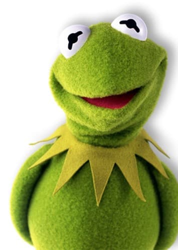 Kermit the frog