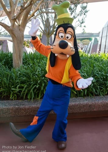 Goofy