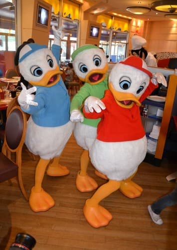 Huey, Dewey & Louie Duck