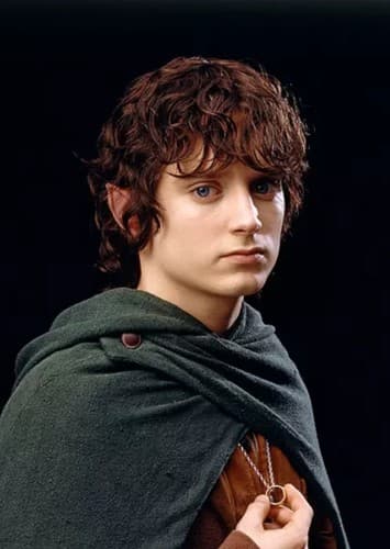 Frodo Baggins