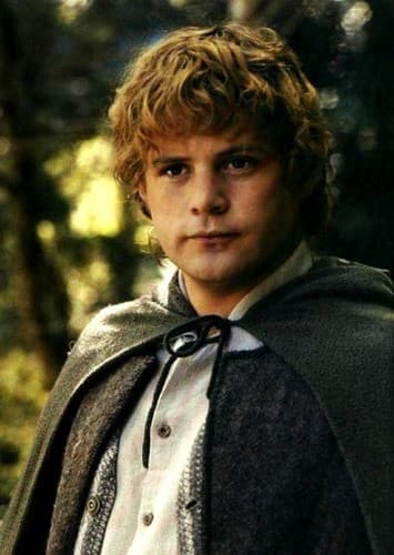Samwise Gamgee
