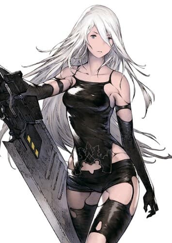 A2