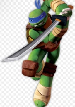 Older Teenage  Leonardo