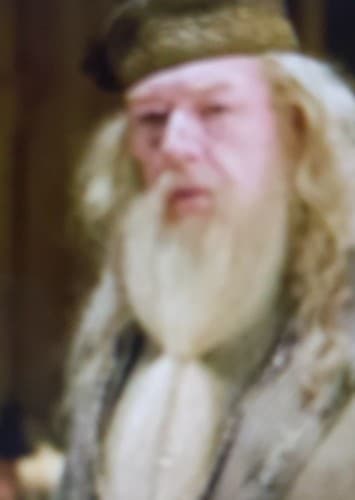 Albus Dumbledore
