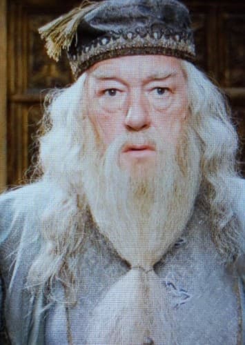 Albus Dumbledore