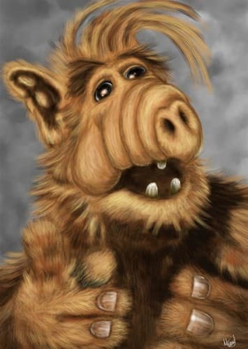 ALF