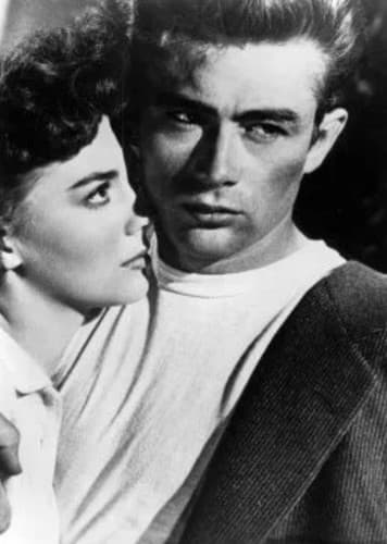 All Girls Want Bad Boys