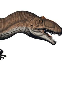 Allosaurus
