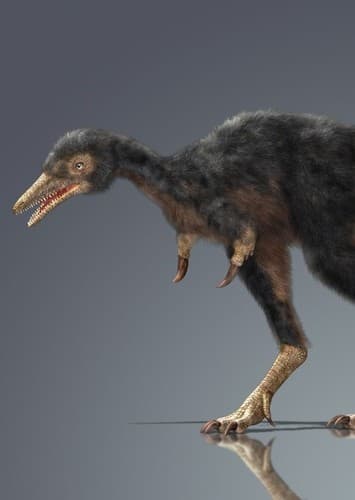 Alvarezsaurus