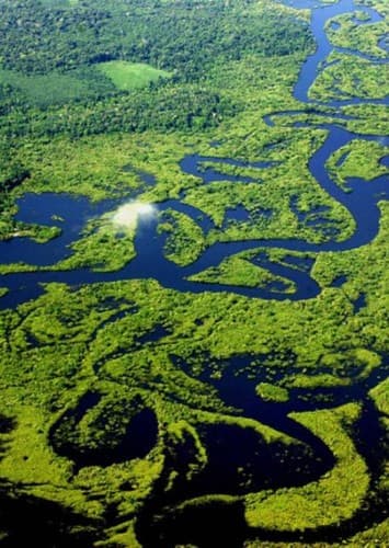 Amazonas