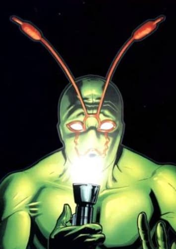Ambush Bug