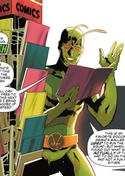 Ambush Bug