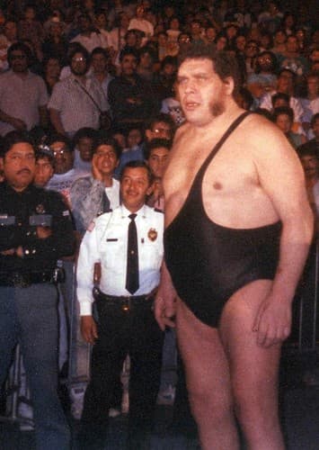 Andre the Giant