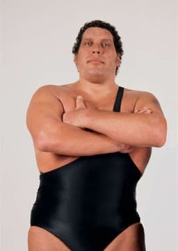 Andre the Giant