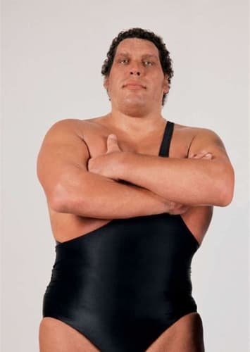 Andre the Giant