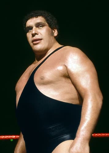 Andre The Giant