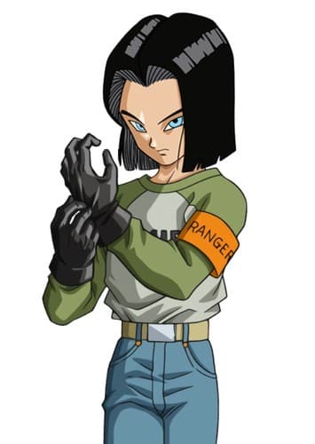 Android 17
