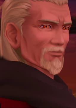 Ansem the Wise / DiZ