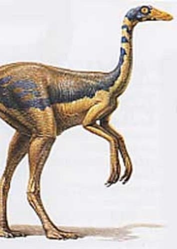 Anserimimus